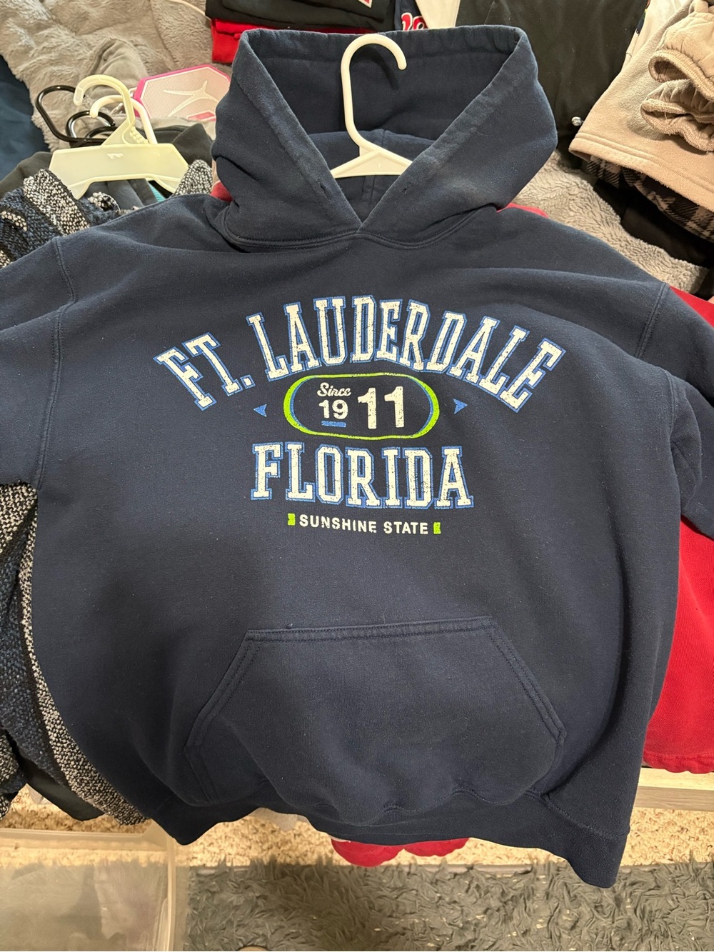 Gildan Navy Blue Graphic Hoodie